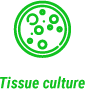 Tissue culture
